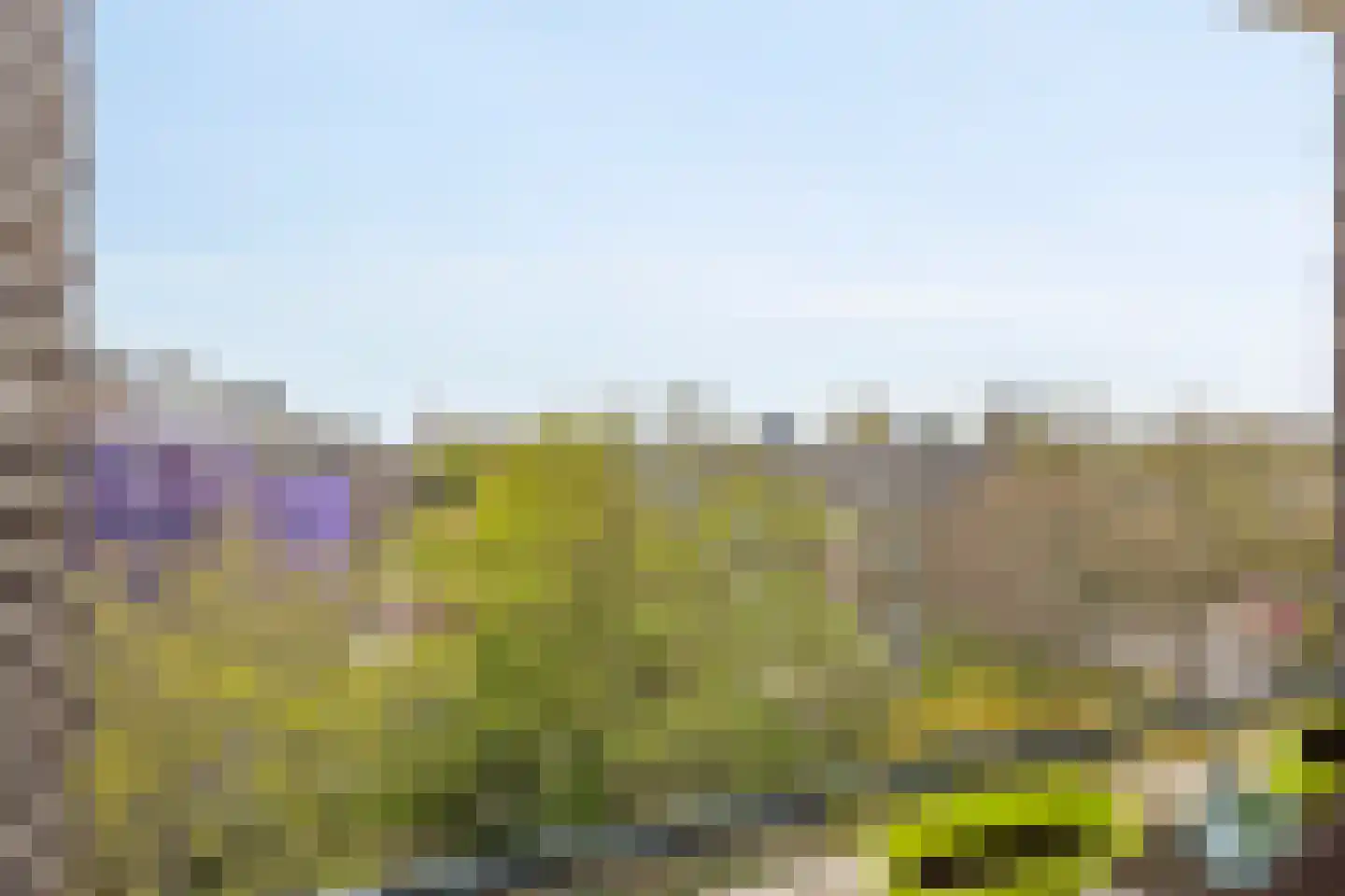 Huis te Landelaan 142 Rijswijk thumbnail 11