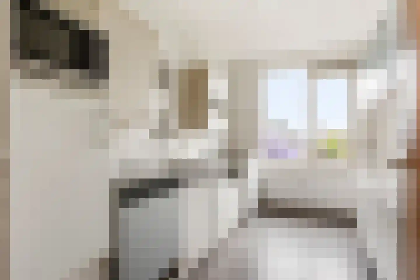 Huis te Landelaan 142 Rijswijk thumbnail 12