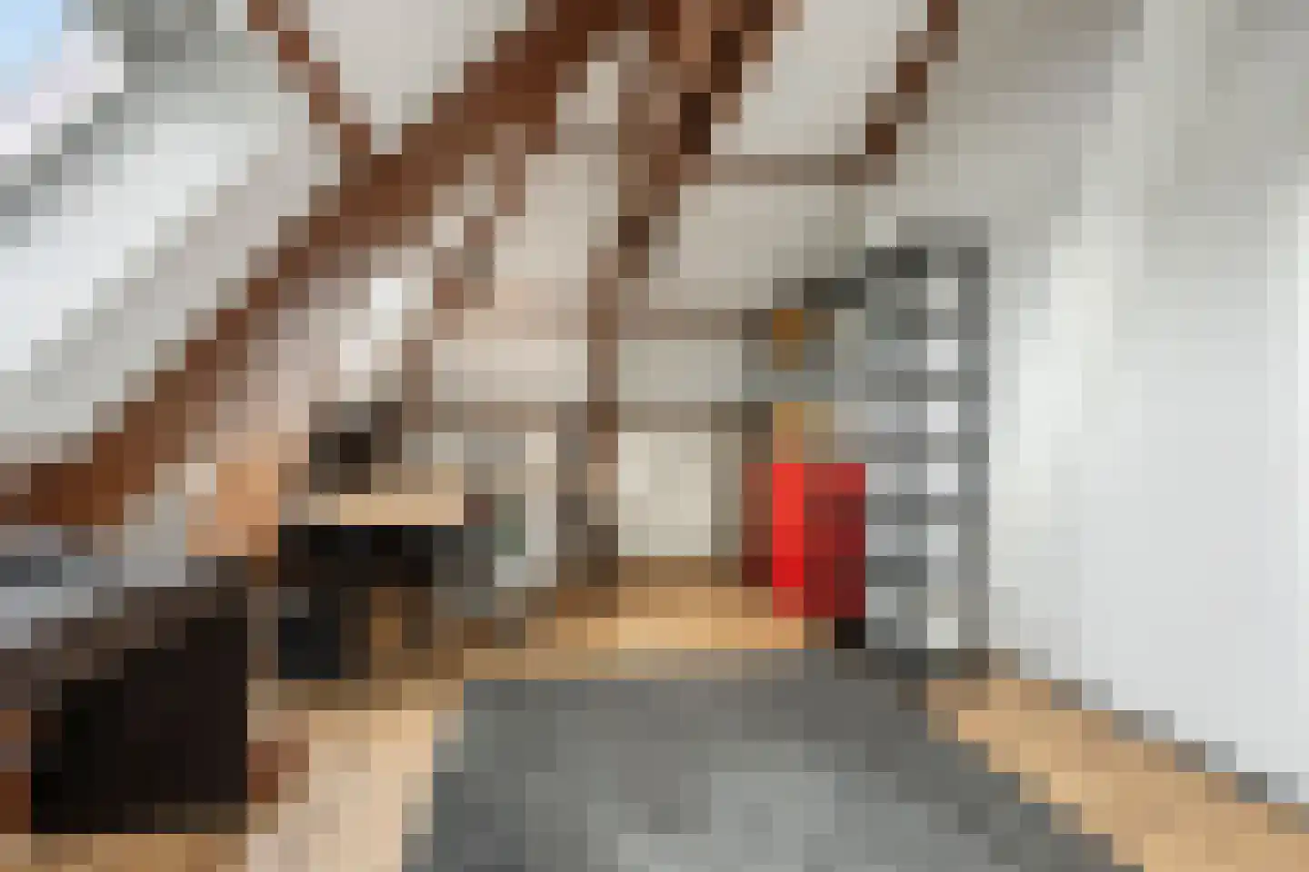 Huis te Landelaan 142 Rijswijk thumbnail 23