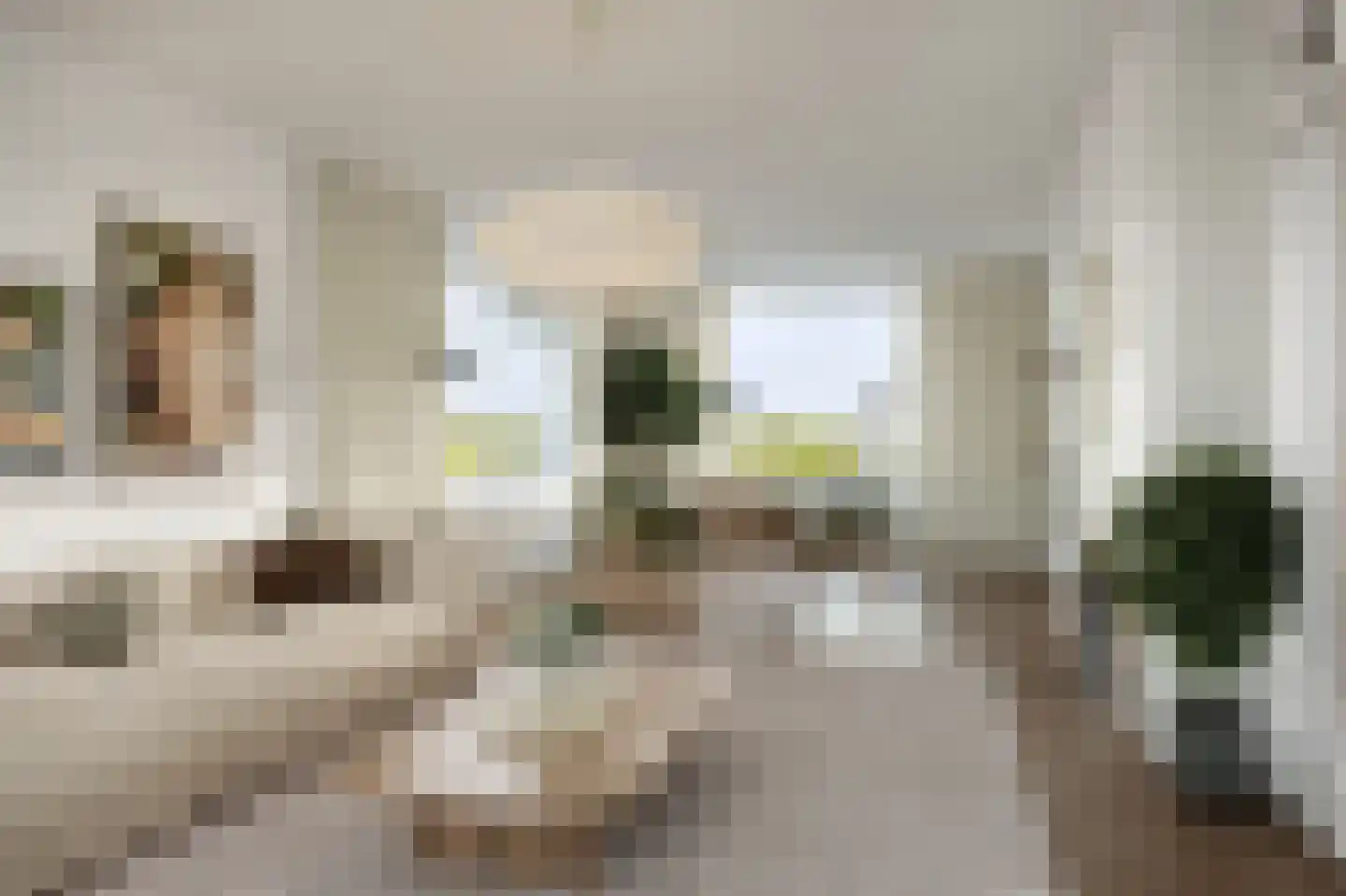 Huis te Landelaan 142 Rijswijk thumbnail 4