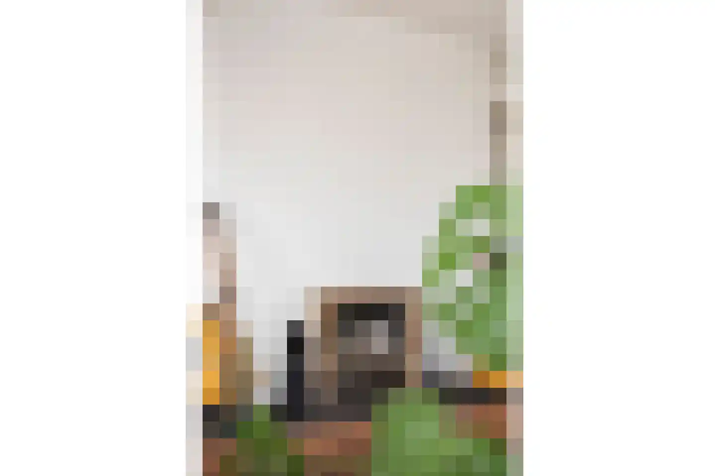 Huis te Landelaan 142 Rijswijk thumbnail 7