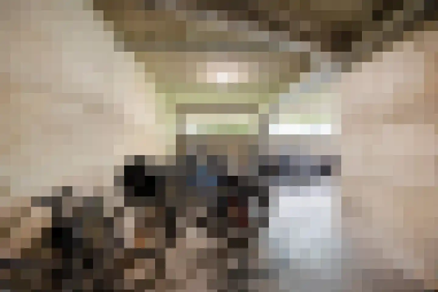 Huis te Landelaan 15 F102 Rijswijk thumbnail 33