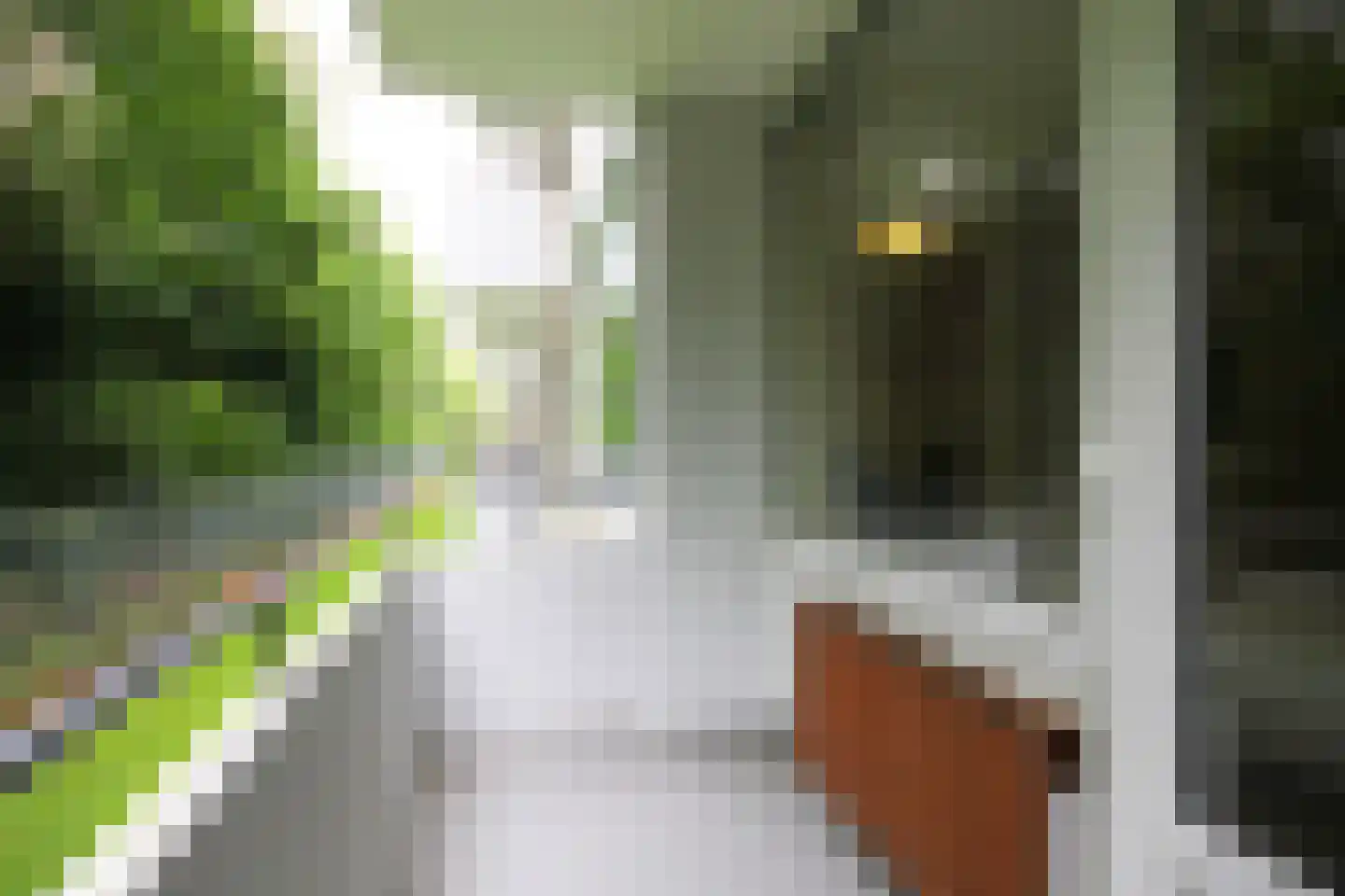 Huis te Landelaan 15 F106 Rijswijk thumbnail 27