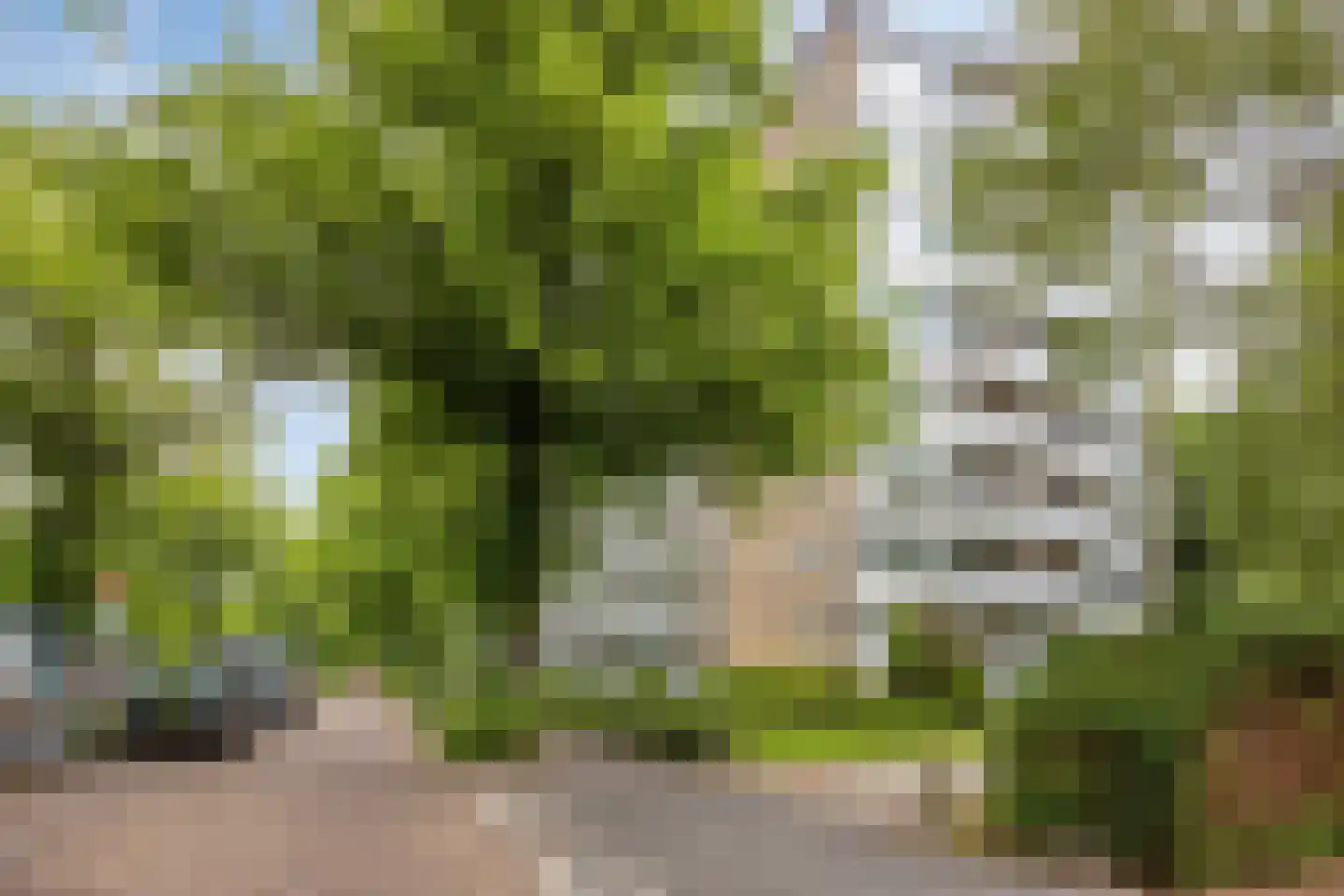 Huis te Landelaan 15 F106 Rijswijk thumbnail 8