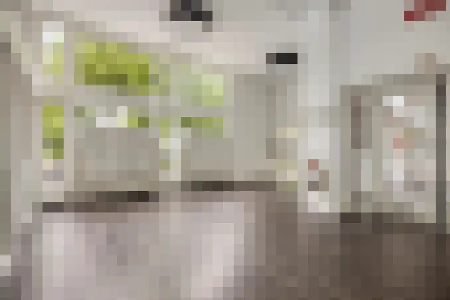 Huis te Landelaan 15 F110 Rijswijk thumbnail 13