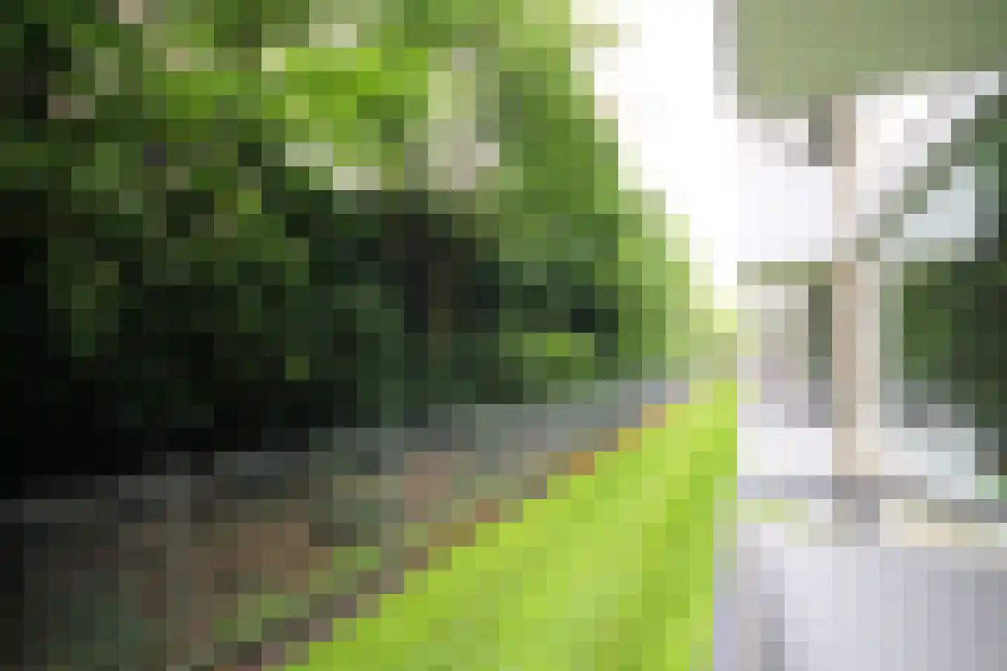 Huis te Landelaan 15 F110 Rijswijk thumbnail 25