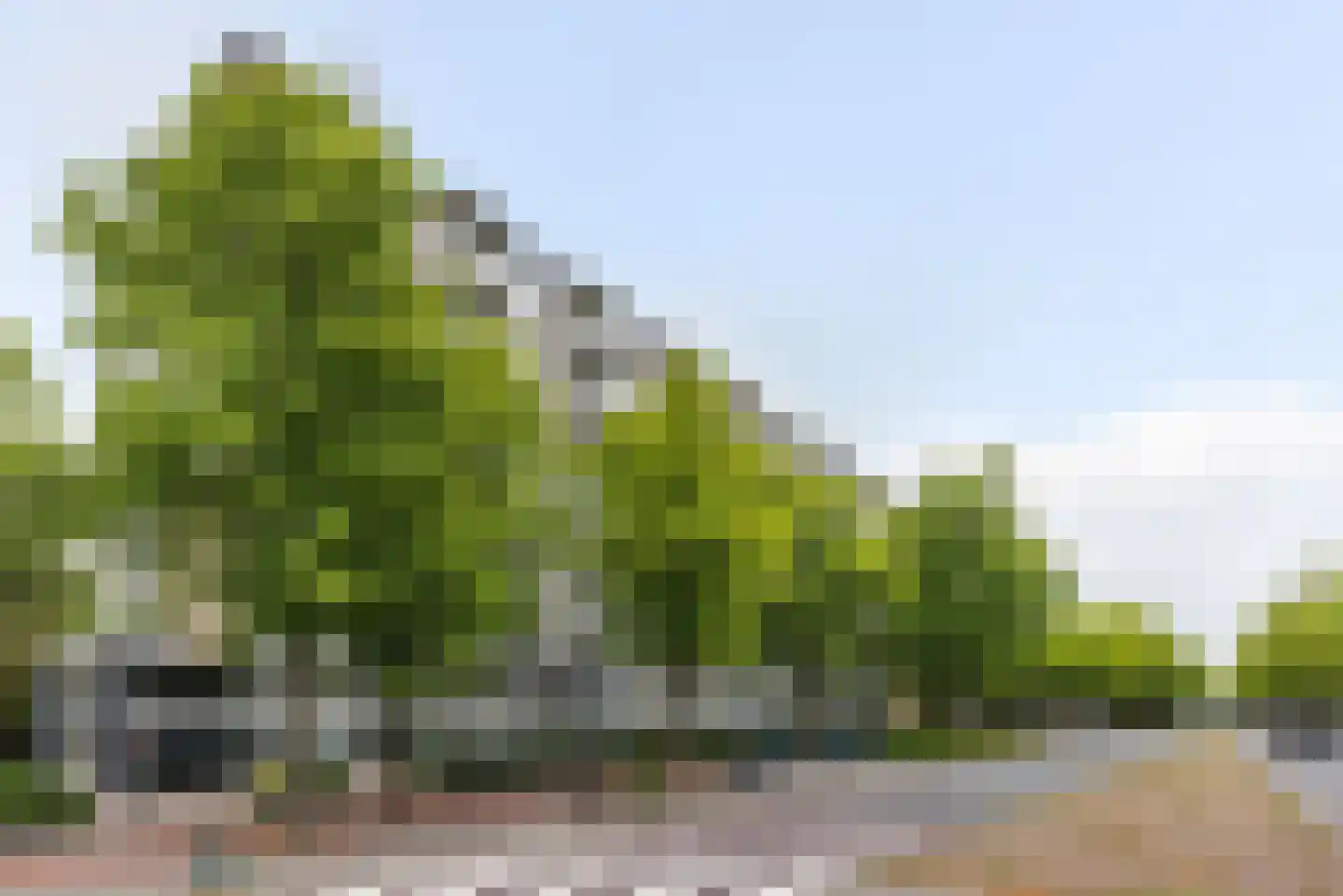 Huis te Landelaan 15 F110 Rijswijk thumbnail 35