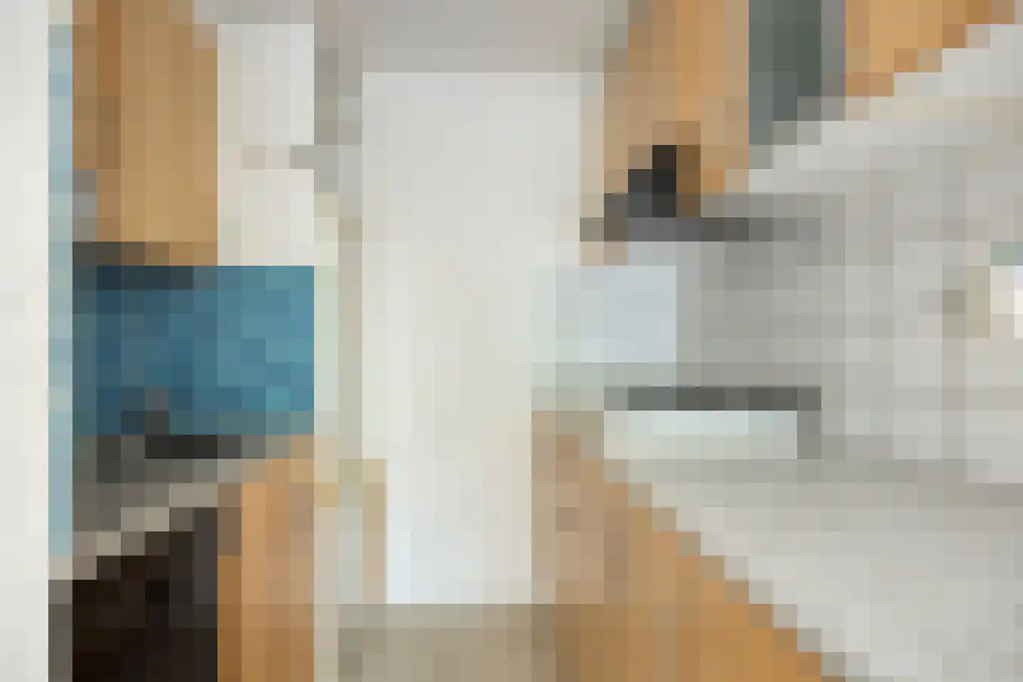 Huis te Landelaan 15 F110 Rijswijk thumbnail 6