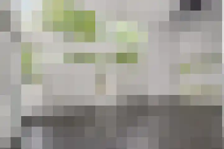 Huis te Landelaan 15 F205 Rijswijk thumbnail 24