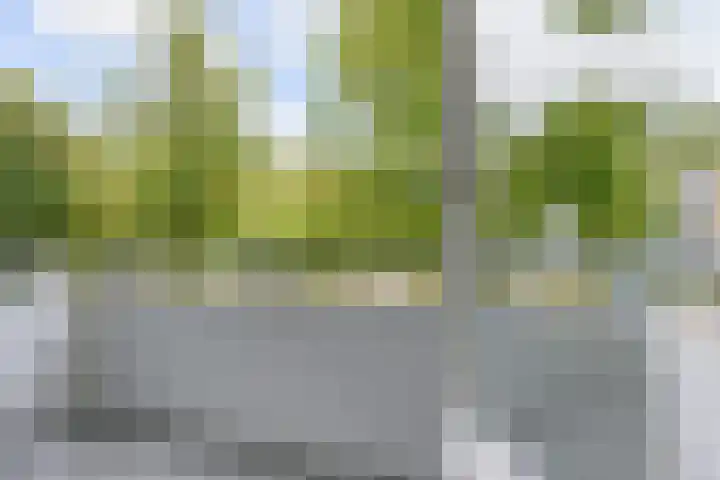 Huis te Landelaan 15 F205 Rijswijk thumbnail 7