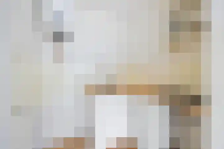 Huis te Landelaan 15 F205 Rijswijk thumbnail 8