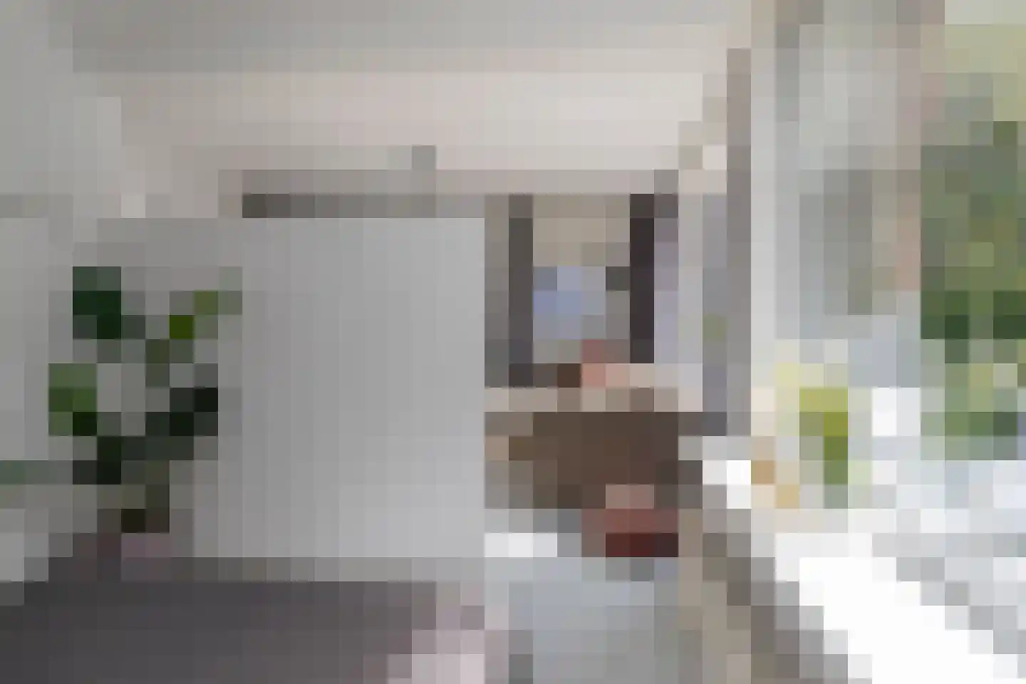 Huis te Landelaan 15 F220 Rijswijk thumbnail 14