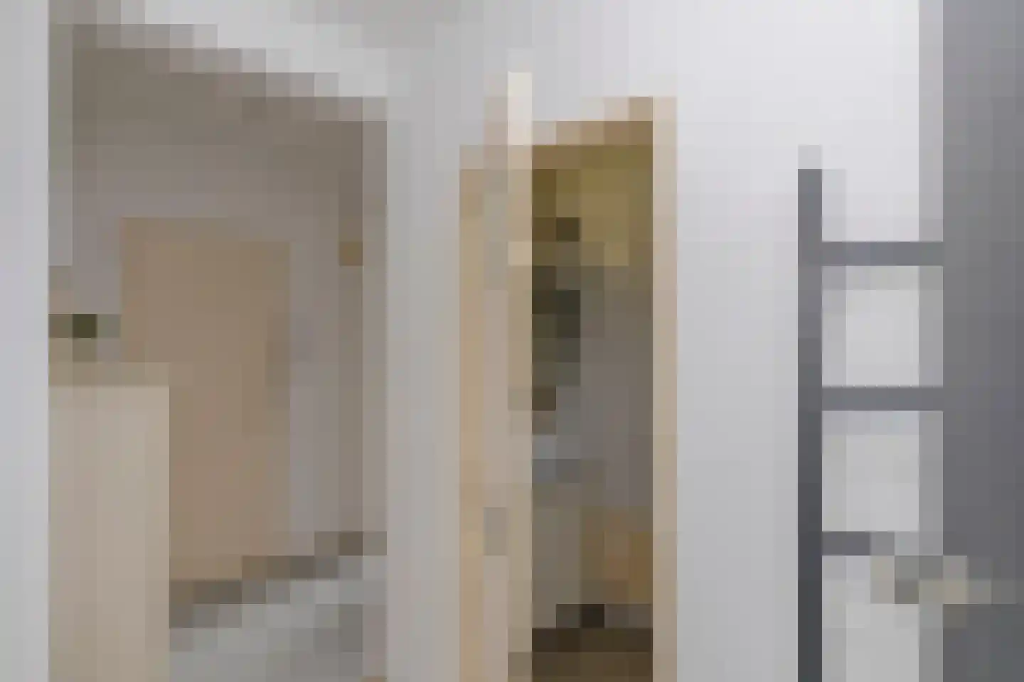 Huis te Landelaan 15 F220 Rijswijk thumbnail 19