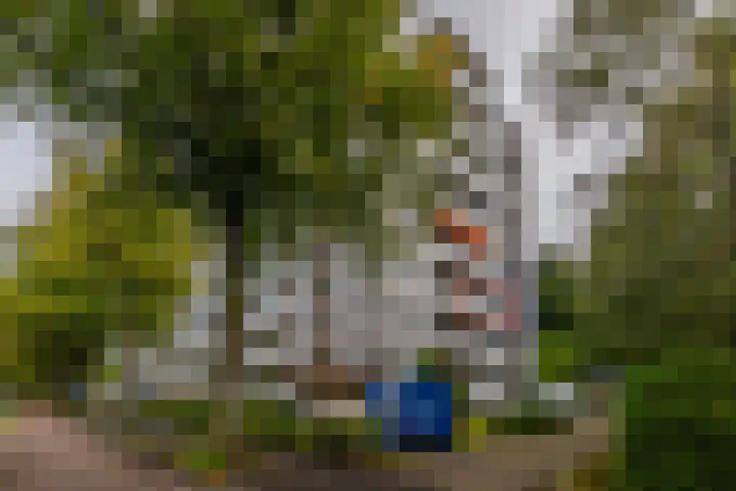 Huis te Landelaan 15 F220 Rijswijk thumbnail 24