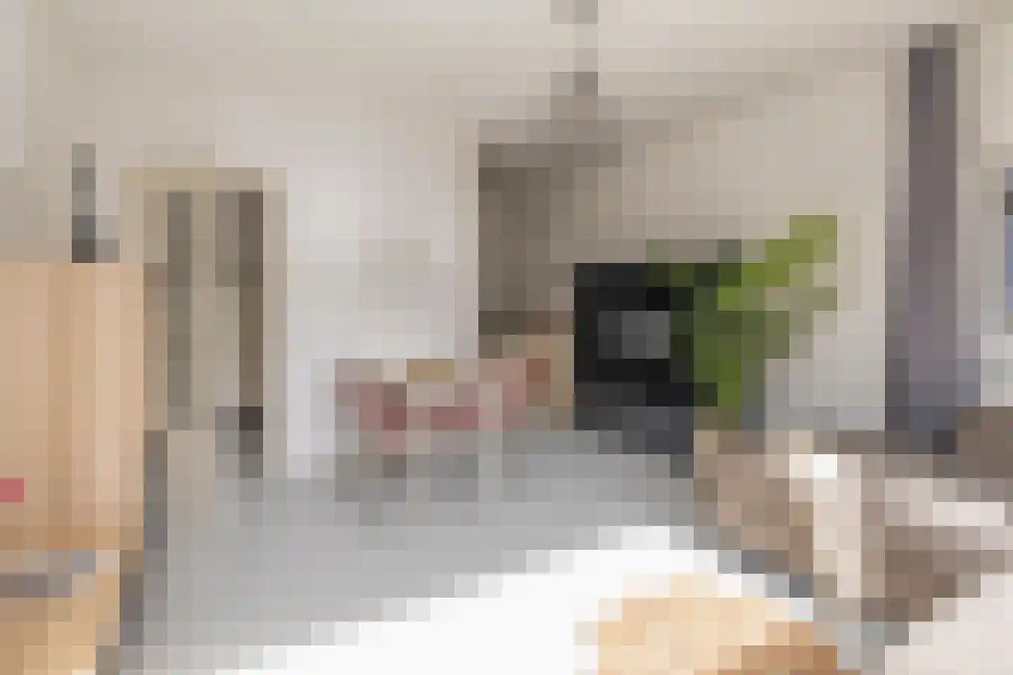 Huis te Landelaan 15 F220 Rijswijk thumbnail 9
