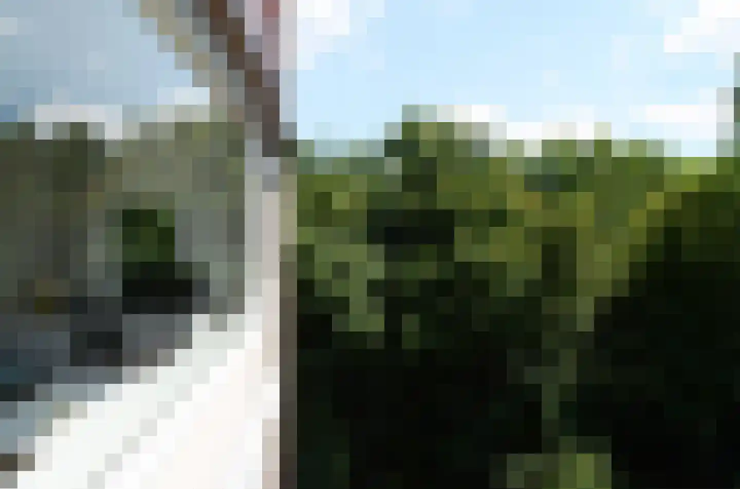 Huis te Landelaan 15 F420 Rijswijk thumbnail 10