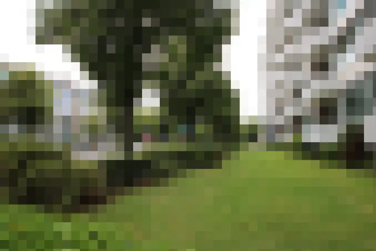 Huis te Landelaan 15 F420 Rijswijk thumbnail 27