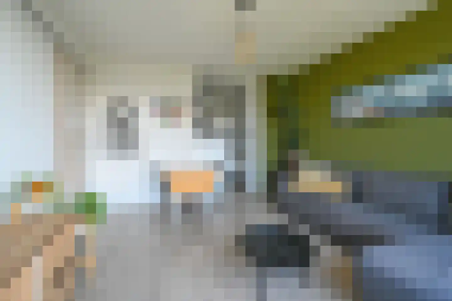 Huis te Landelaan 15 F607 Rijswijk thumbnail 9