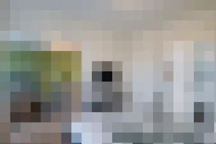 Huis te Landelaan 15 F610 Rijswijk thumbnail 18