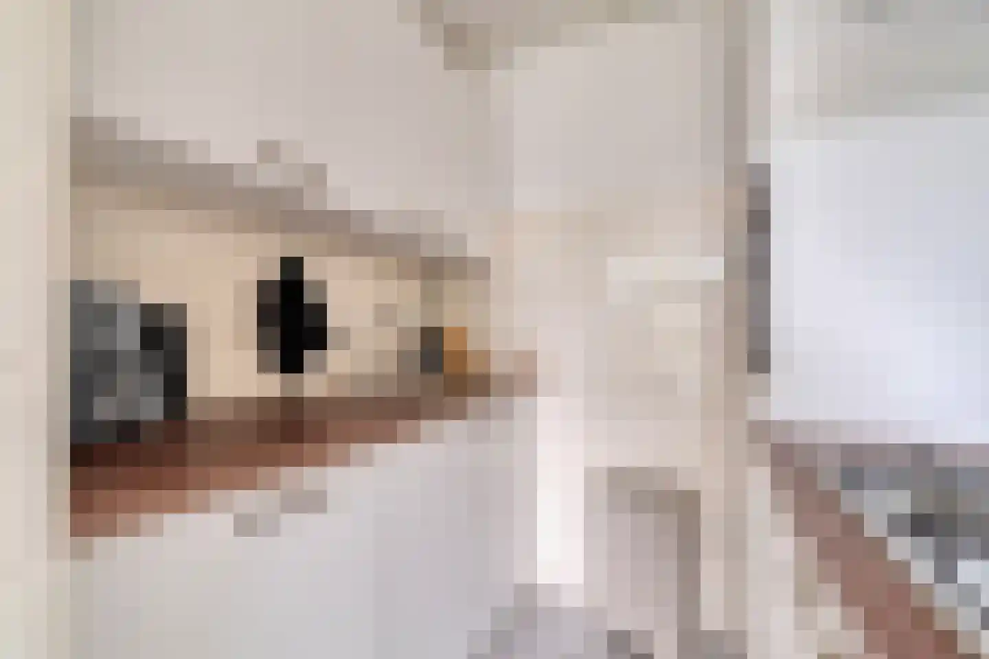 Huis te Landelaan 15 F612 Rijswijk thumbnail 13