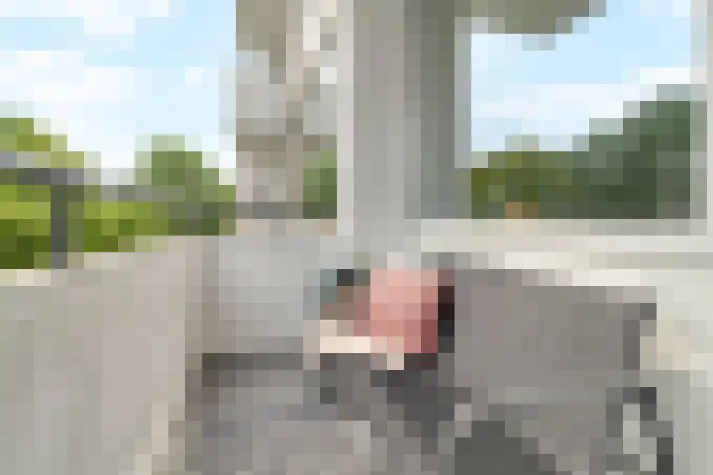 Huis te Landelaan 15 F612 Rijswijk thumbnail 18