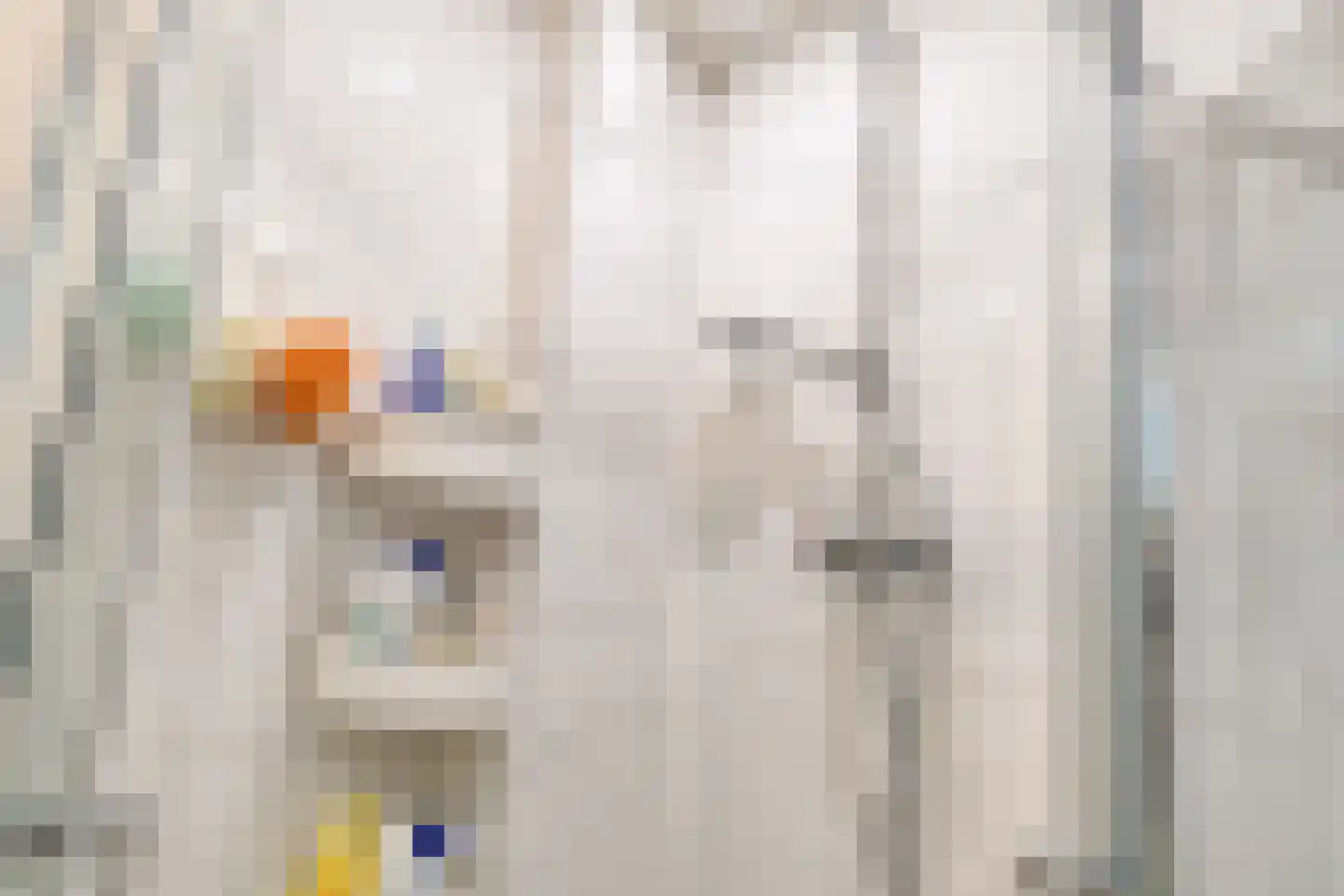 Huis te Landelaan 15 F612 Rijswijk thumbnail 20