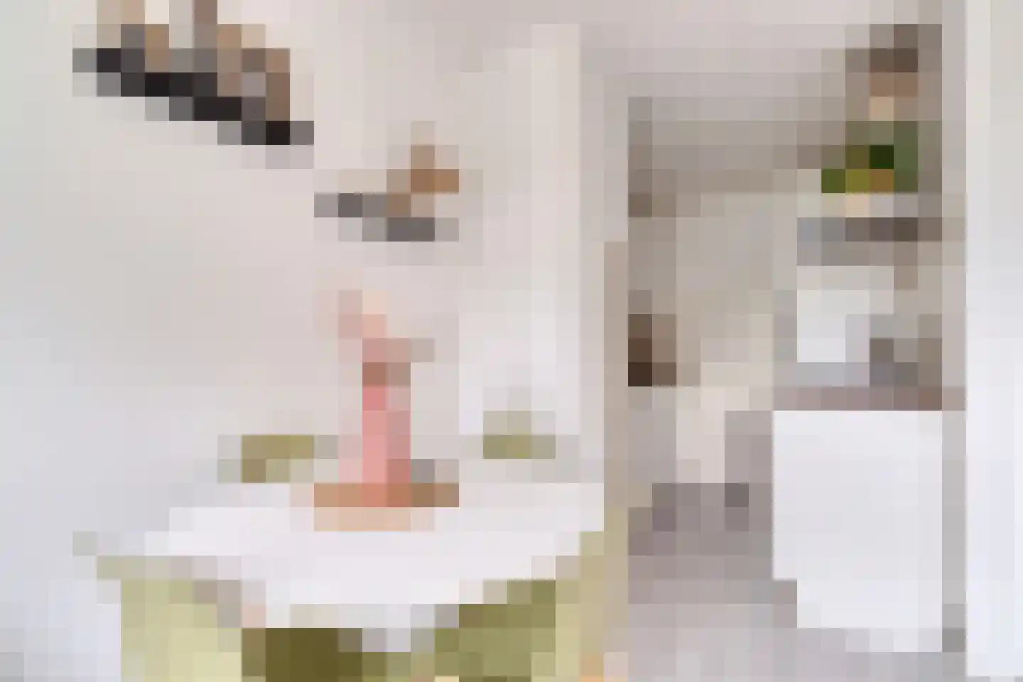 Huis te Landelaan 15 F612 Rijswijk thumbnail 4