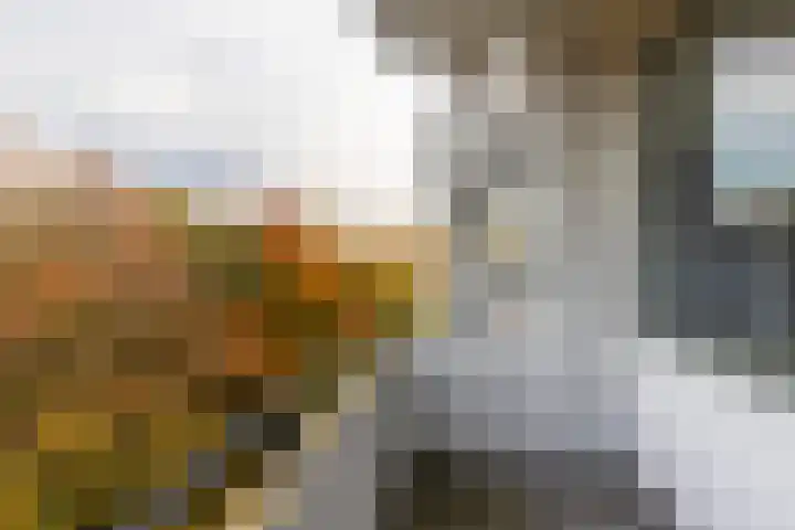 Huis te Landelaan 15 F706 Rijswijk thumbnail 16