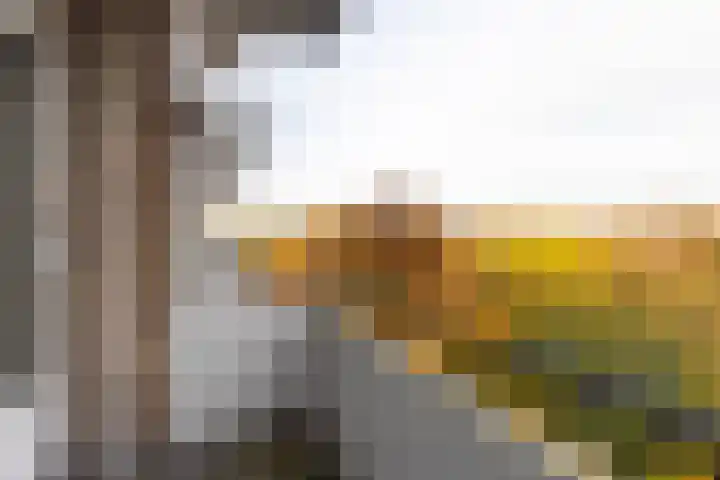 Huis te Landelaan 15 F706 Rijswijk thumbnail 17