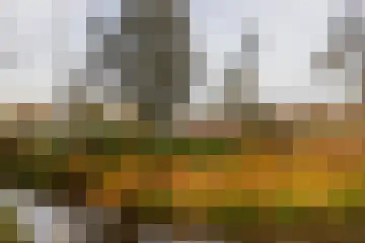 Huis te Landelaan 15 F706 Rijswijk thumbnail 24