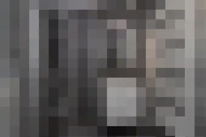 Huis te Landelaan 15 F706 Rijswijk thumbnail 4