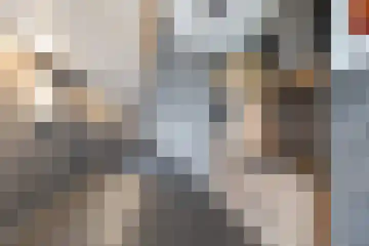 Huis te Landelaan 15 F805 Rijswijk thumbnail 14