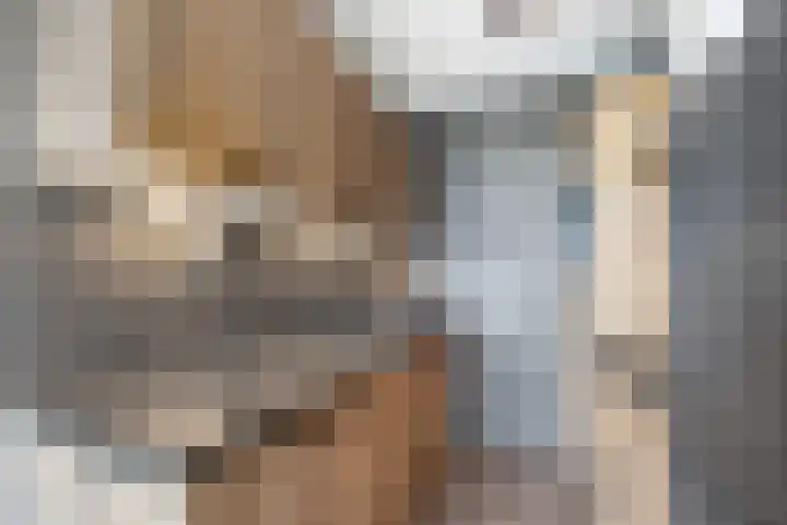 Huis te Landelaan 15 F805 Rijswijk thumbnail 15