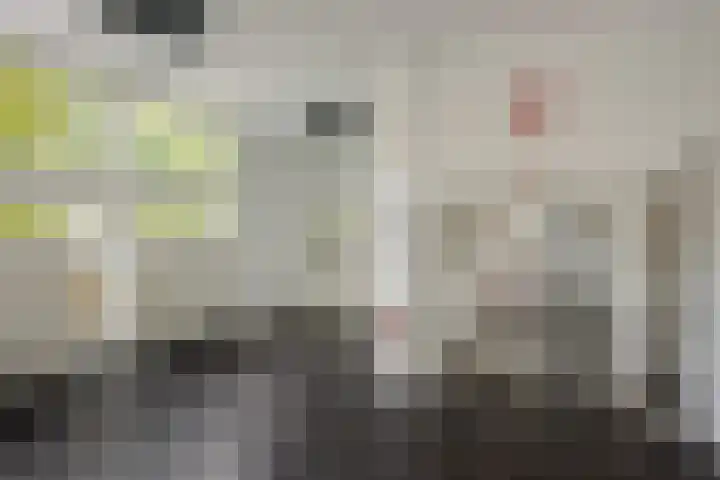 Huis te Landelaan 15 F805 Rijswijk thumbnail 4
