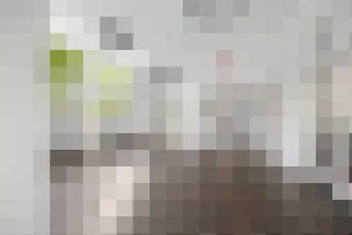 Huis te Landelaan 15 F805 Rijswijk thumbnail 5