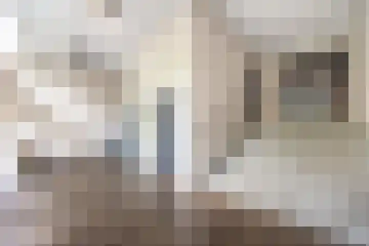 Huis te Landelaan 15 F805 Rijswijk thumbnail 6