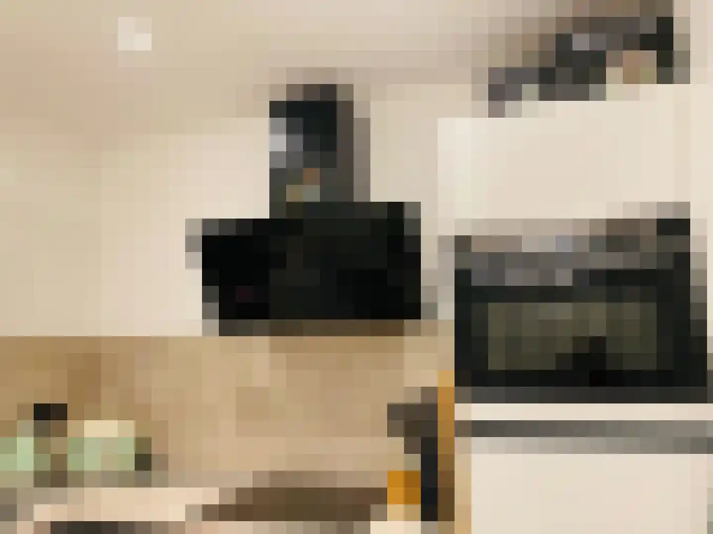 Huis te Landelaan 15 F806 Rijswijk thumbnail 28