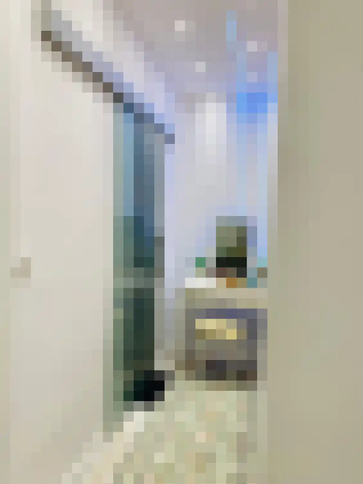 Huis te Landelaan 15 F806 Rijswijk thumbnail 9