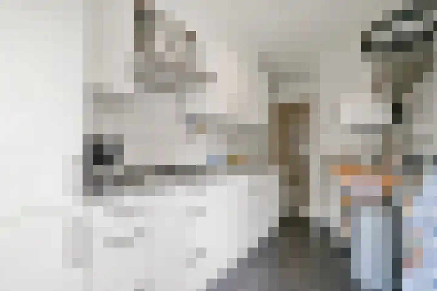 Huis te Landelaan 192 Rijswijk thumbnail 18