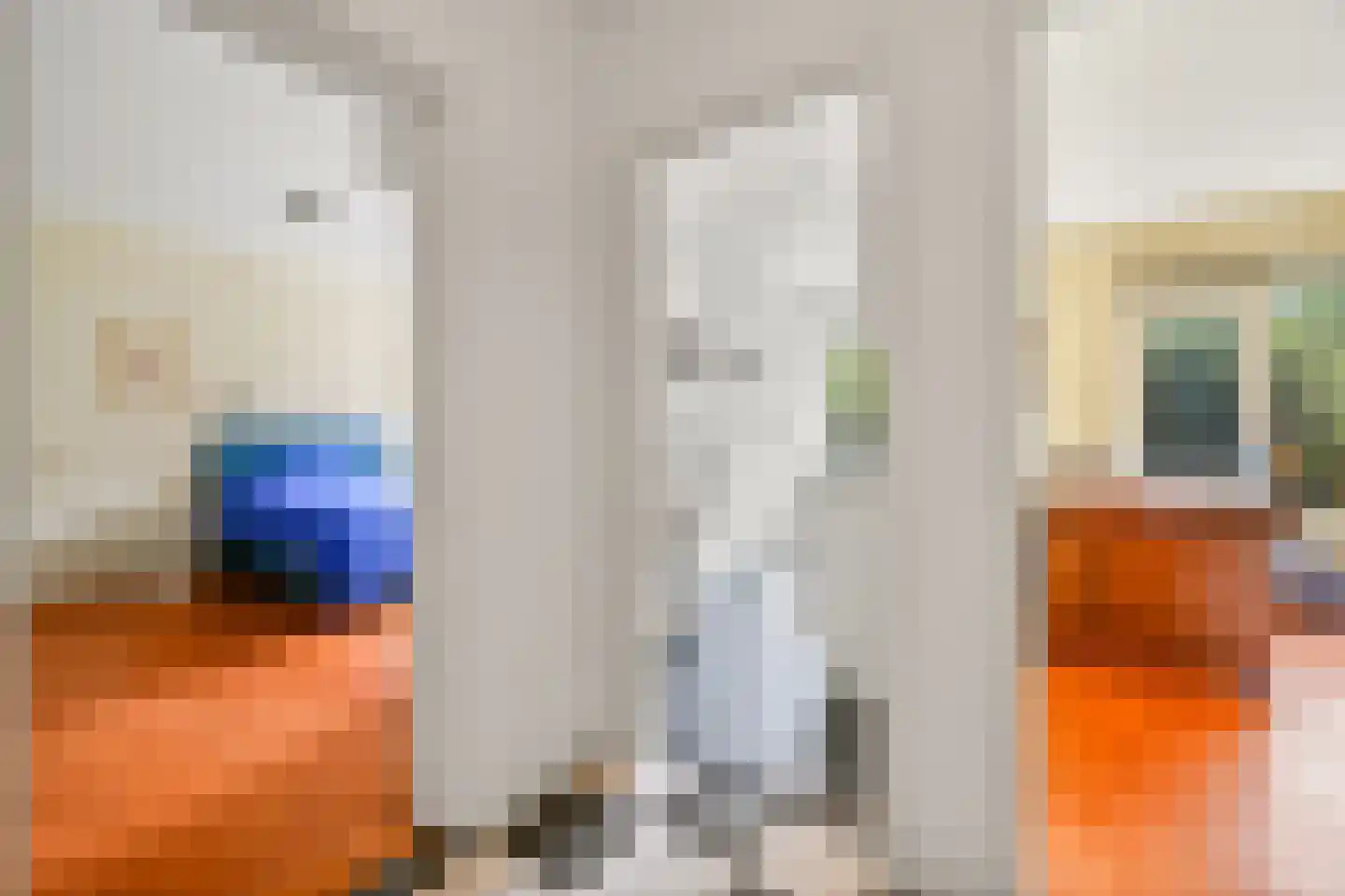 Huis te Landelaan 192 Rijswijk thumbnail 23