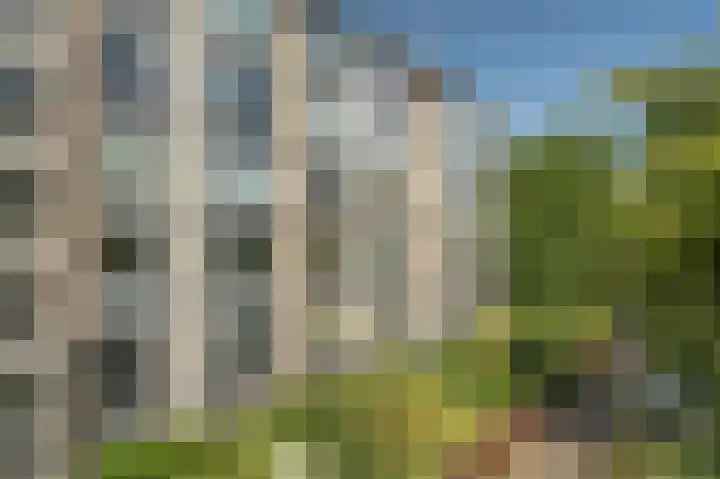 Huis te Landelaan 20 Rijswijk