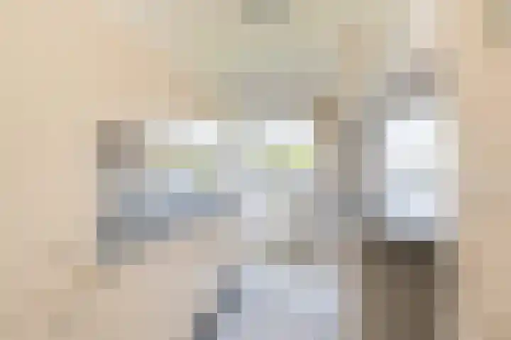 Huis te Landelaan 20 Rijswijk thumbnail 21