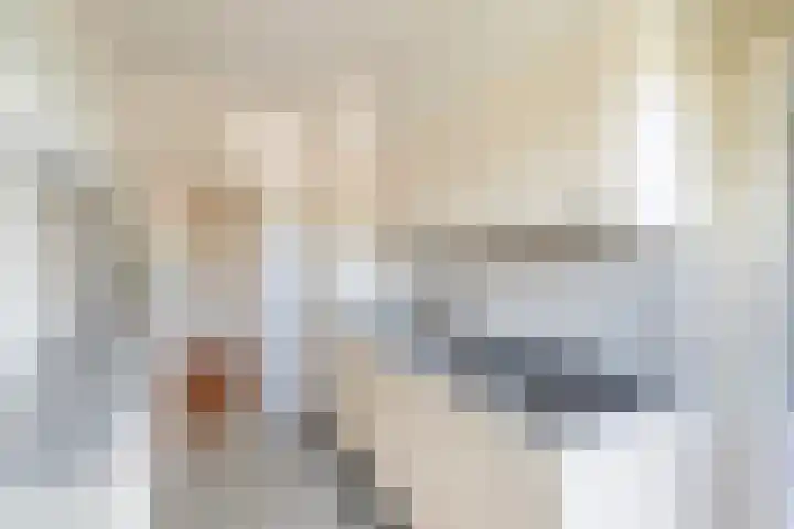 Huis te Landelaan 20 Rijswijk thumbnail 22