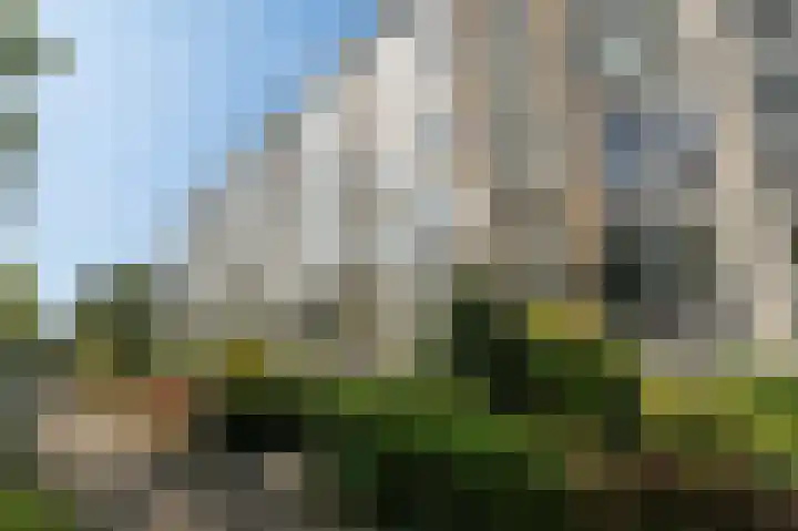 Huis te Landelaan 20 Rijswijk thumbnail 29