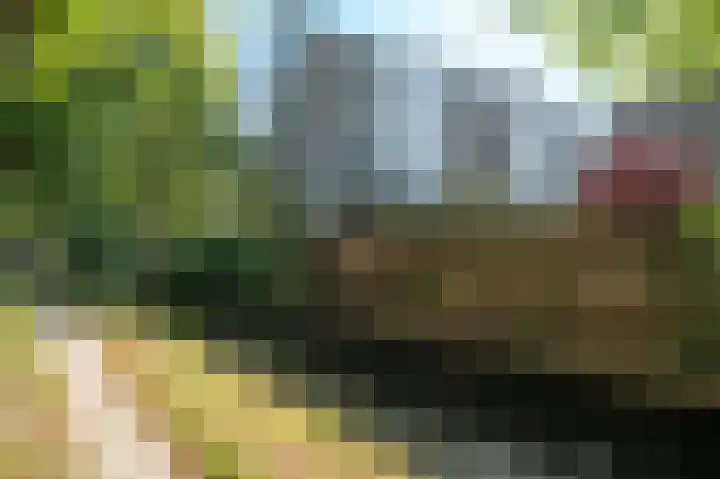 Huis te Landelaan 20 Rijswijk thumbnail 31