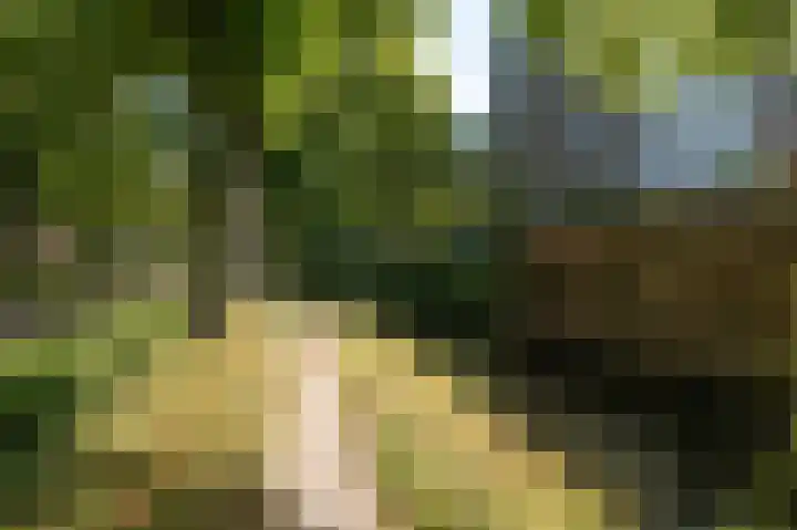 Huis te Landelaan 20 Rijswijk thumbnail 32