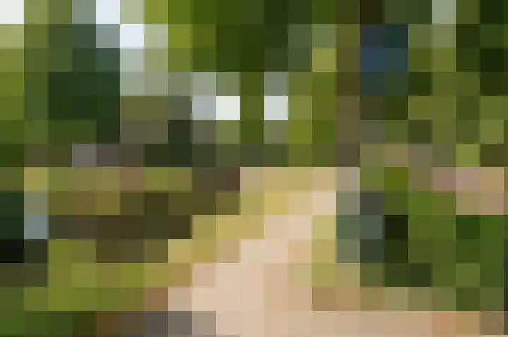 Huis te Landelaan 20 Rijswijk thumbnail 33