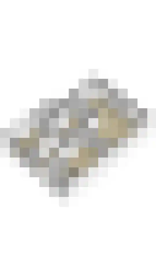 Huis te Landelaan 20 Rijswijk thumbnail 36