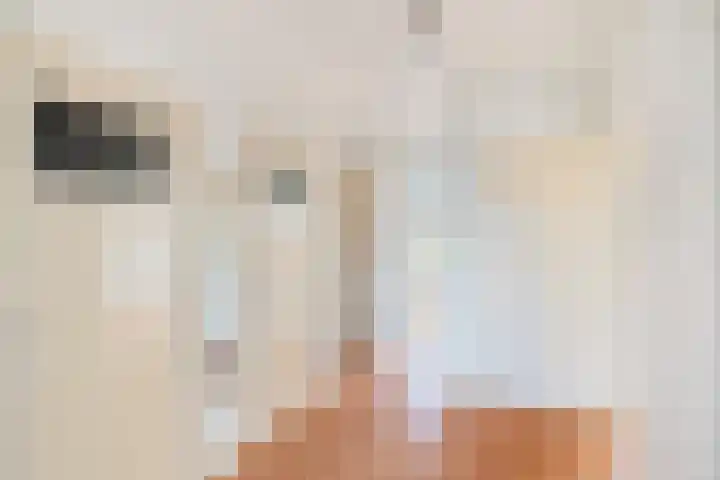 Huis te Landelaan 20 Rijswijk thumbnail 5