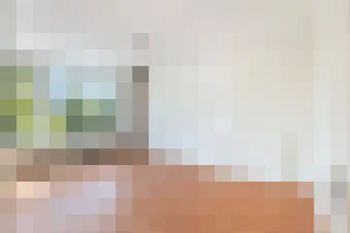 Huis te Landelaan 20 Rijswijk thumbnail 8